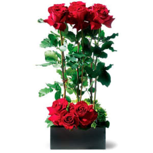 Love's Divine Bouquet - Long Stemmed Roses Flower Bouquet