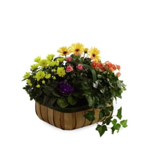 Gentle Blossoms Basket Flower Bouquet