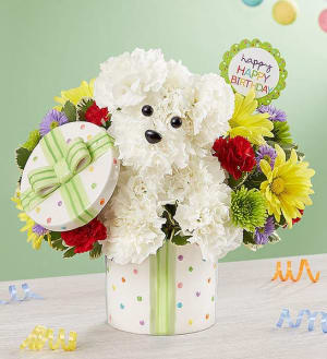 It's A Party Pooch Flower Bouquet