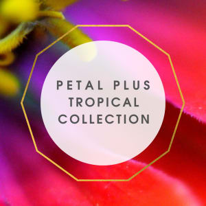 Tropical Collection Flower Bouquet