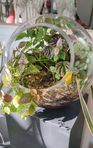 Terrarium in Glass Bubble Bowl Flower Bouquet