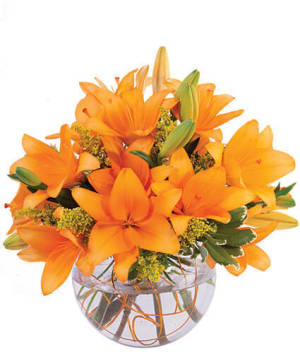 ORANGE LILY SORBET BOUQUET Flower Bouquet