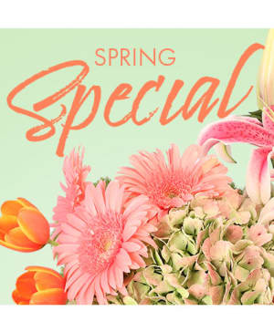 SPECIAL OF SPRING FLORALS DESIGNER'S CHOICE Flower Bouquet