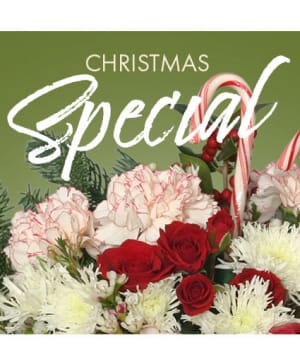 CHRISTMAS SPECIAL DESIGNER'S CHOICE Flower Bouquet