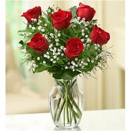 Rose Elegance™ Premium Red Roses - 1/2 Dozen Flower Bouquet