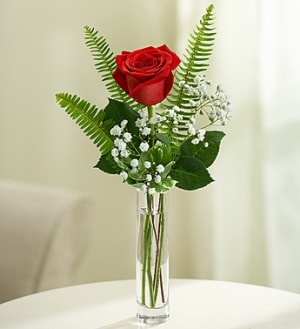 Love's Embrace™ Roses - Red Flower Bouquet