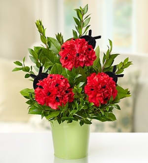 Love Bug™ Flower Bouquet