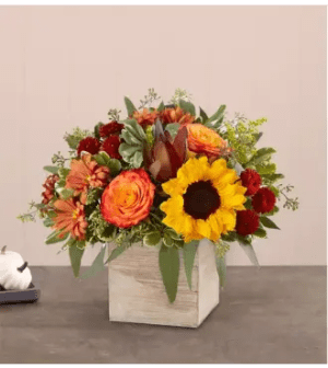 Heartfelt Radiance™ Bouquet for Sympathy Flower Bouquet