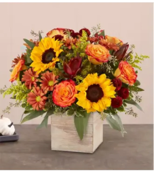 Heartfelt Radiance™ Bouquet for Sympathy Flower Arrangement Heartfelt Radiance™ Bouquet for Sympathy Flower Bouquet
