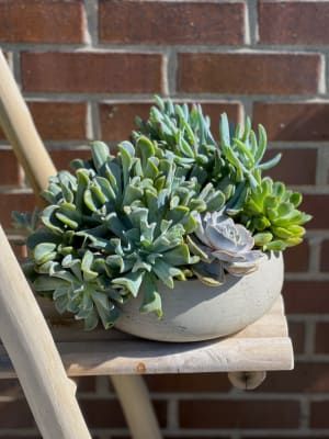 Outdoor Succulent Dish Garden Flower Arrangement Outdoor Succulent Dish Garden Flower Bouquet