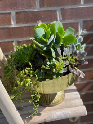 Outdoor Succulent Dish Garden Flower Arrangement Outdoor Succulent Dish Garden Flower Bouquet
