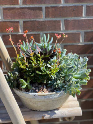 Outdoor Succulent Dish Garden Flower Arrangement Outdoor Succulent Dish Garden Flower Bouquet