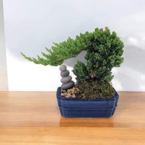 Bonsai Tree Flower Bouquet