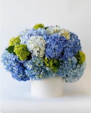 Winston Blue Hydrangea Flower Arrangement Winston Blue Hydrangea Flower Bouquet
