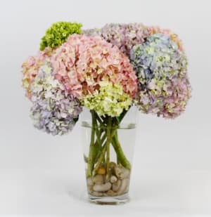 Cotton Cany Clouds Flower Bouquet