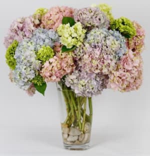 Cotton Cany Clouds Flower Bouquet