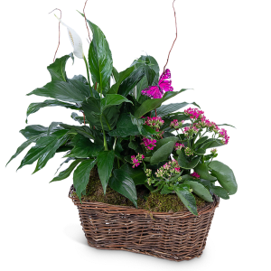 Harmony Basket with Butterflies Flower Bouquet