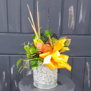 Pumpkin Patch Plant Garden Flower Bouquet