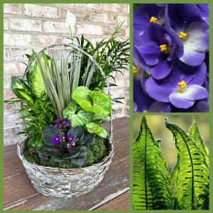 African Violet Planter - Plants & Botanicals Flower Bouquet
