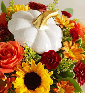 Autumn White Pumpkin
