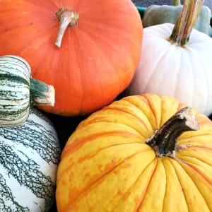 Pumpkins Flower Bouquet