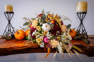 Harvest Moon Cornucopia