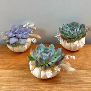 Three Little Pumpkins Flower Bouquet