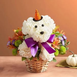 Witchy Pooch Flower Arrangement Witchy Pooch Flower Bouquet