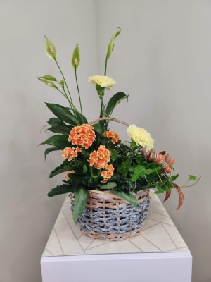 Moment In Time Basket Planter Flower Bouquet