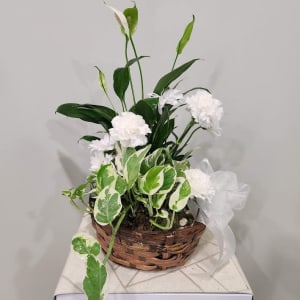 True and Pure Planter Flower Bouquet