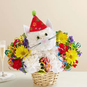 Purrfect Party Cat Flower Bouquet