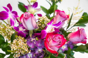 Domestic Violence Awareness