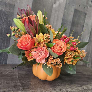 Fox In The Forest Of Fall