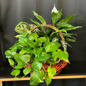 planter basket Flower Bouquet