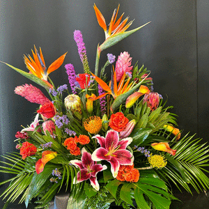 Tropical Tribute