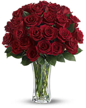 Love & Devotion Long Stem Roses Flower Arrangement Love & Devotion Long Stem Roses Flower Bouquet