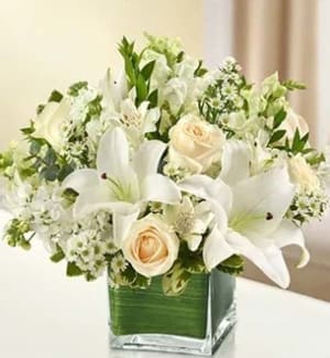 Healing Hope Bouquet – White Flower Arrangement Healing Hope Bouquet – White Flower Bouquet