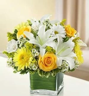 Healing Hope Bouquet – Yellow & White Flower Arrangement Healing Hope Bouquet – Yellow & White Flower Bouquet