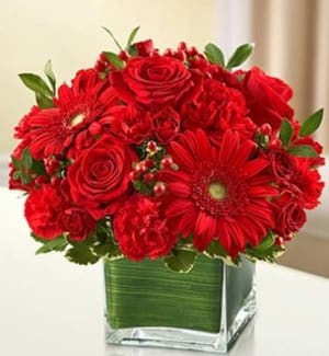 Healing Hope Bouquet – Red Flower Arrangement Healing Hope Bouquet – Red Flower Bouquet