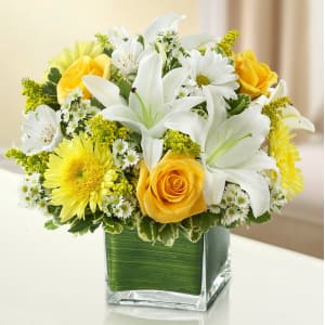Healing Hope Bouquet – Yellow & White Flower Arrangement Healing Hope Bouquet – Yellow & White Flower Bouquet
