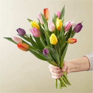 ASSORTED TULIPS WRAPPED BOUQUET Flower Arrangement ASSORTED TULIPS WRAPPED BOUQUET Flower Bouquet
