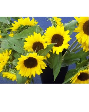FLOWER OF THE MONTH CLUB Flower Bouquet
