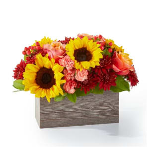 Fresh Cider Bouquet Flower Arrangement Fresh Cider Bouquet Flower Bouquet