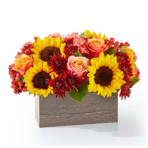 Fresh Cider Bouquet Flower Arrangement Fresh Cider Bouquet Flower Bouquet