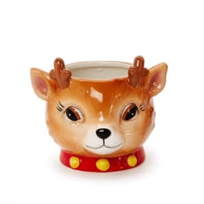 Reindeer Holiday Container Flower Bouquet