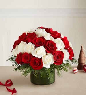 Candy Cane Swirl™ Roses Flower Bouquet