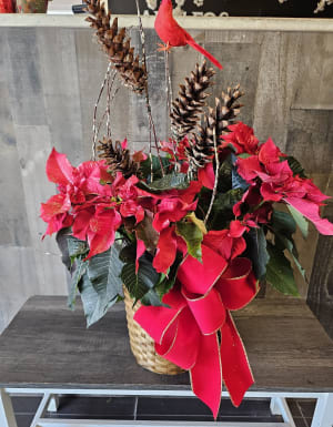Poinsettia Plant Flower Bouquet