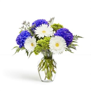 Aravind_new_variant_Testinglive