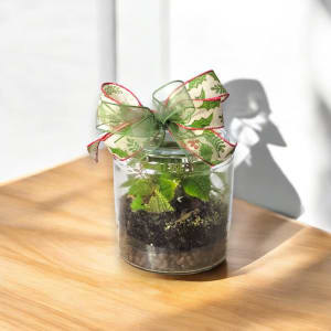 TERRARIUM Flower Arrangement TERRARIUM Flower Bouquet