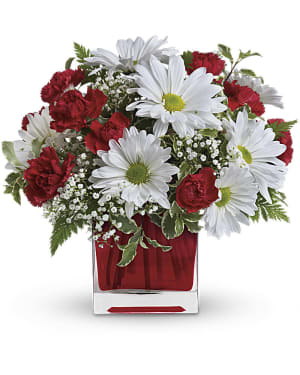 Red And White Delight by Teleflora Flower Bouquet